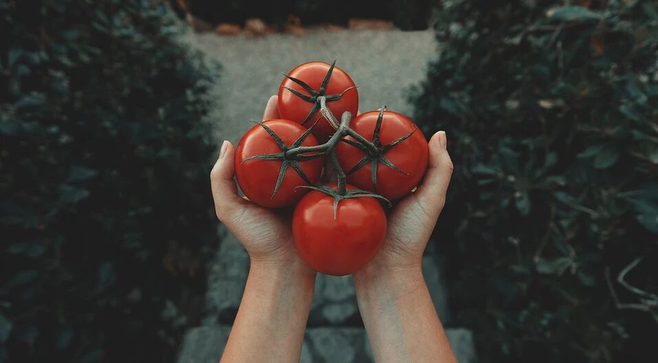Tomateek prostatako minbiziaren arriskua murrizten dute